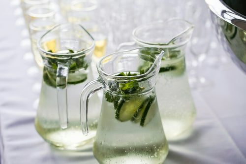 Purified drinking water for the WaterVerse home plan